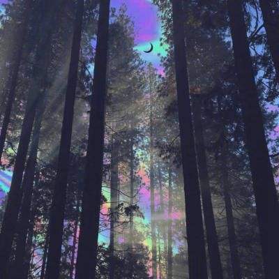 香港最准资料免费公开手机app下载